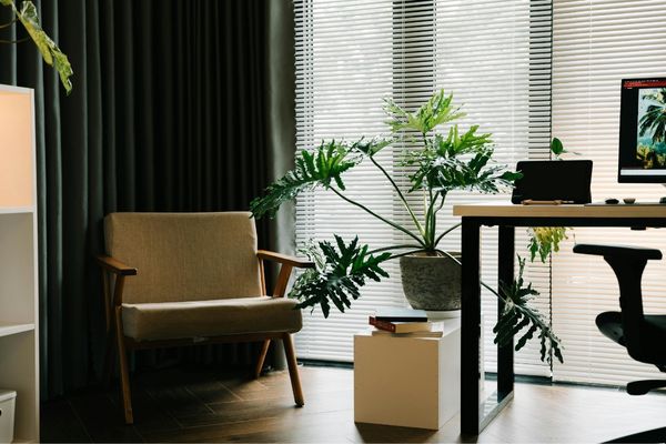 Không kiểm tra chính sách đổi trả và bảo hành khi mua ghế trực tuyến