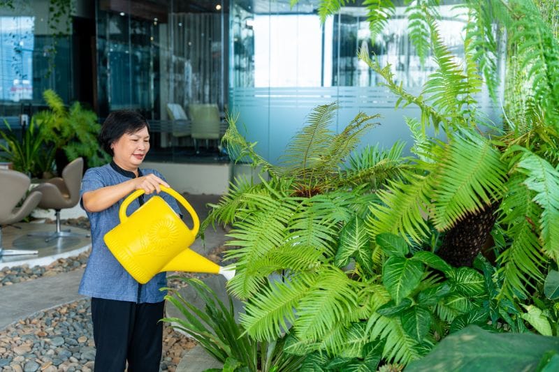 văn phòng xanh coworking space