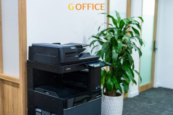 Văn phòng xanh giúp tăng 15% năng suất làm việc