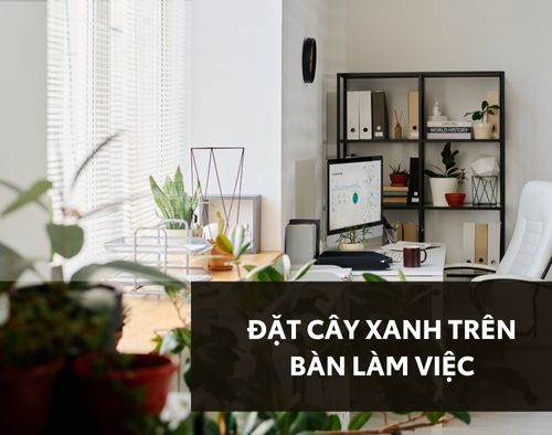 cay-van-phong-de-ban-thumb
