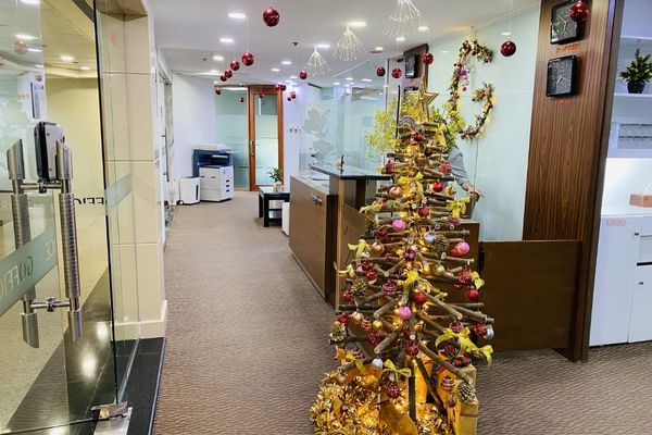 Sử dụng cây thông đặt văn phòng