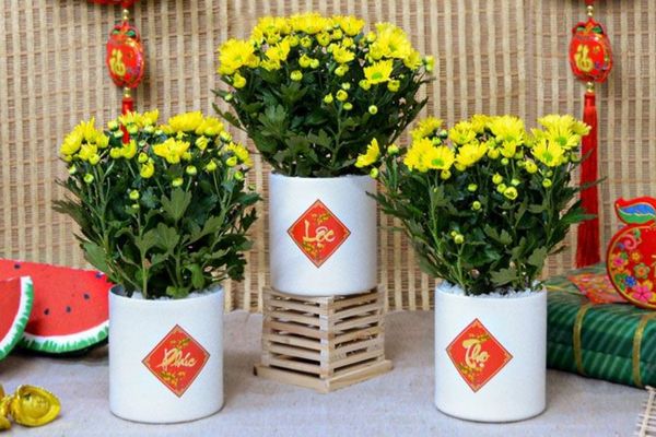 Decor Tết văn phòng với hoa tươi 