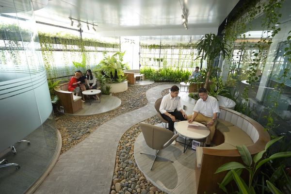 Khó duy trì cây sống ở góc khuất