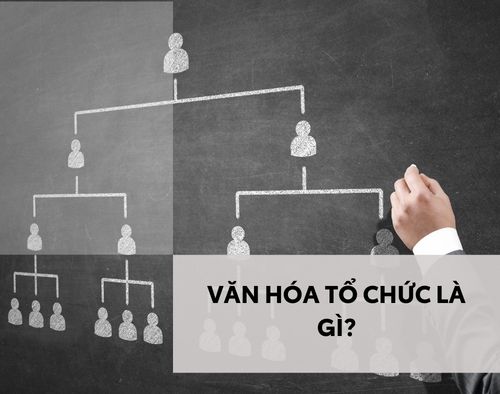 van-hoa-to-chuc-la-gi-thumb