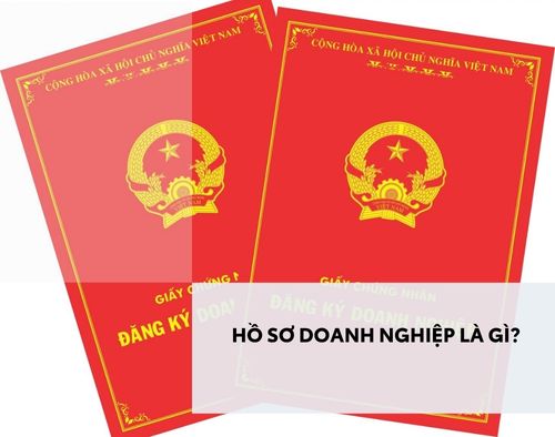 ho-so-doanh-nghiep-la-gi-thumb