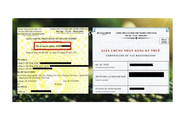 Mã số đăng ký kinh doanh là gì?
