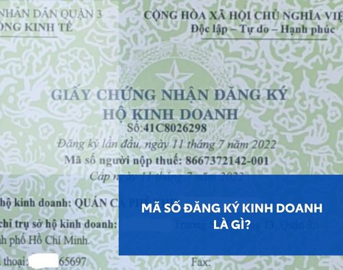 ma-so-dang-ki-kinh-doanh-la-gi-thumb